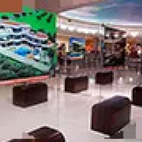 Exposição