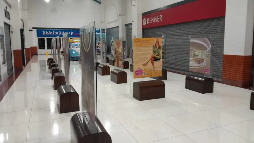 Exposição de Iara Kílaris chega a São Carlos