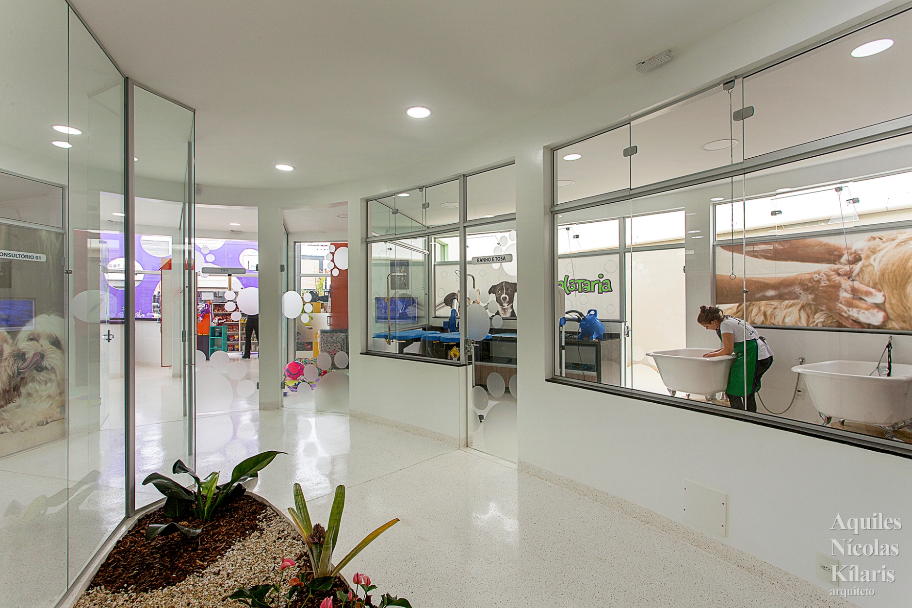 Clínica Veterinária