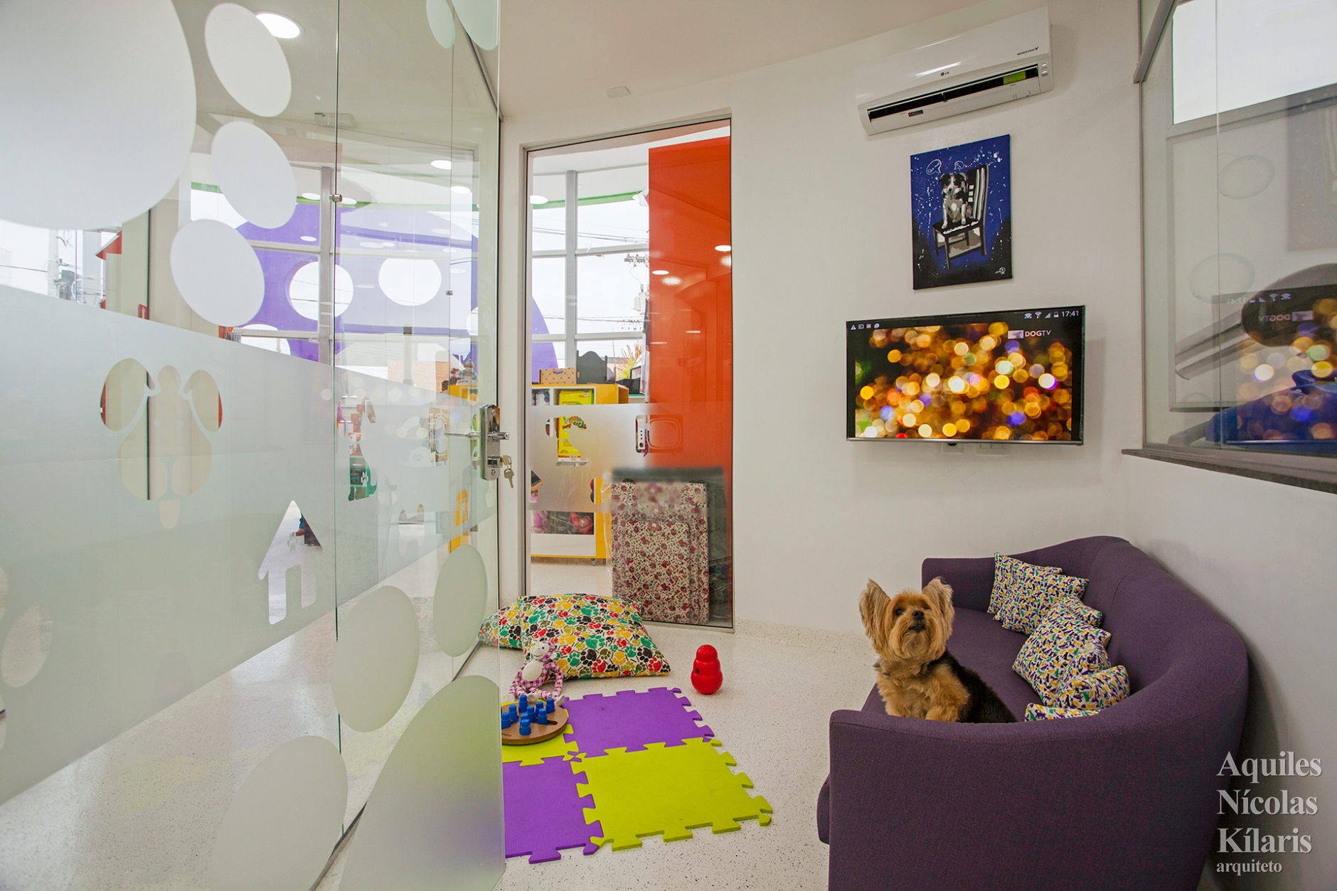 Clínica Veterinária